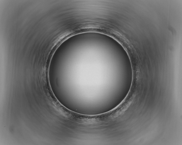 X0000113131121200909041142