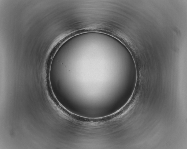 X0000113131122200909041142