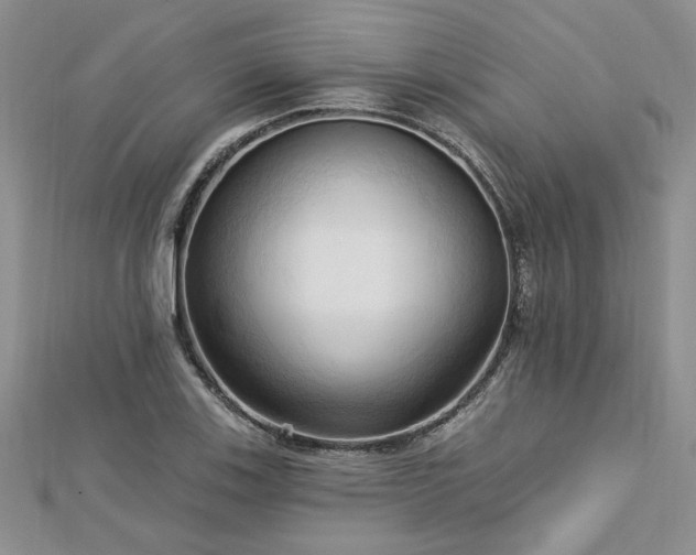 X0000113131123200909041142