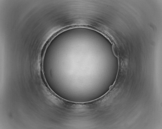 X0000113131124200909041142