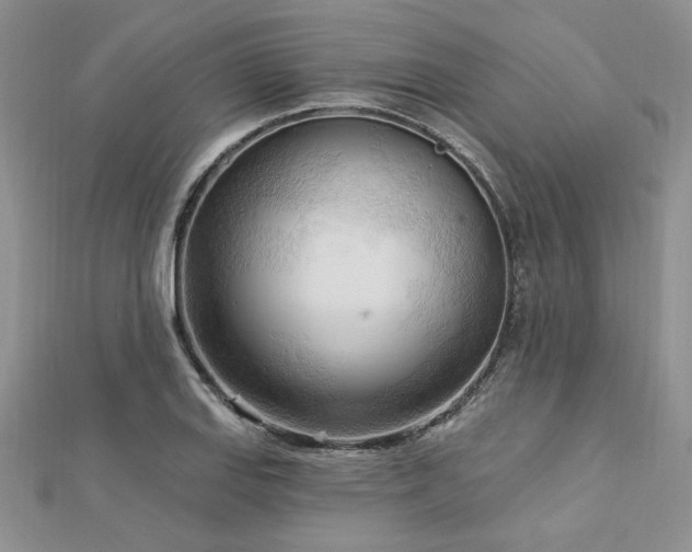 X0000113131127200909041142