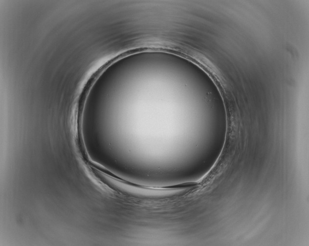 X0000113131128200909041142