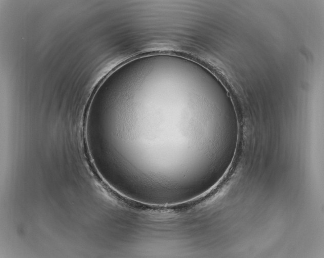 X0000113131129200909041142
