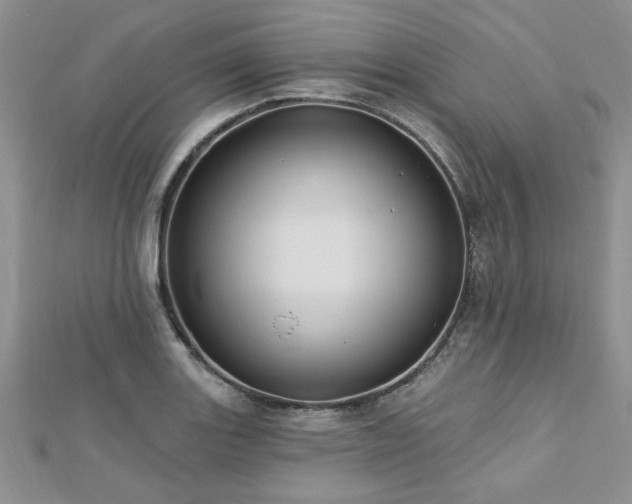 X0000113131131200909041142