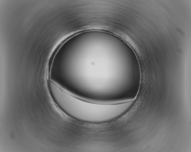 X0000113131132200909041142