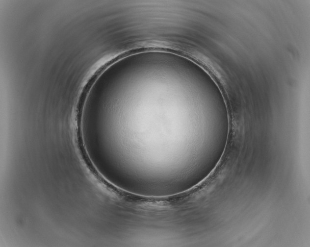 X0000113131133200909041142