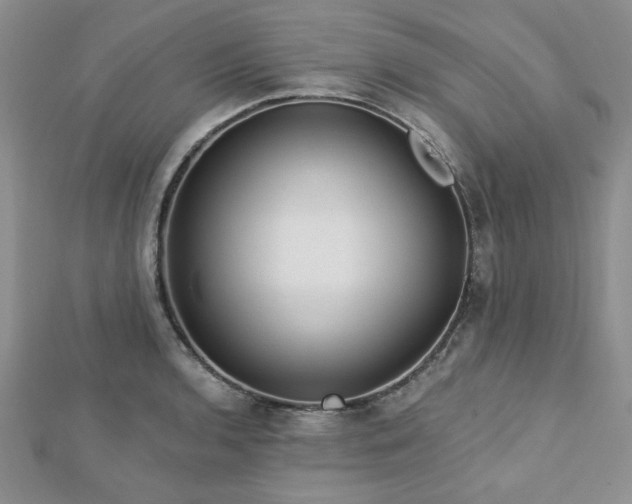 X0000113131136200909041142