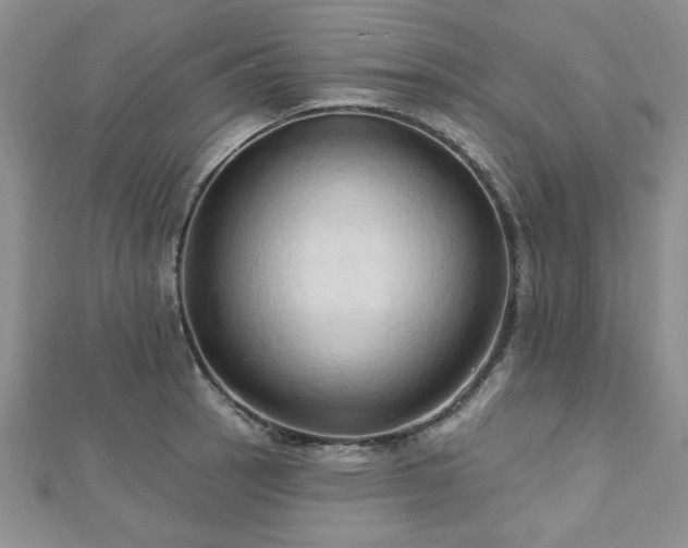 X0000113131137200909041142