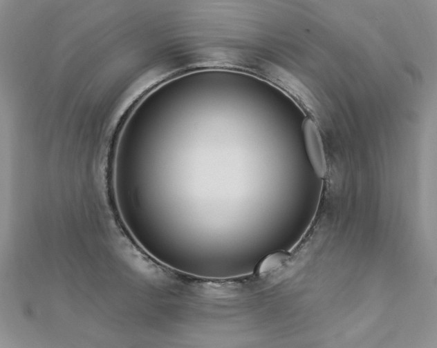 X0000113131138200909041142