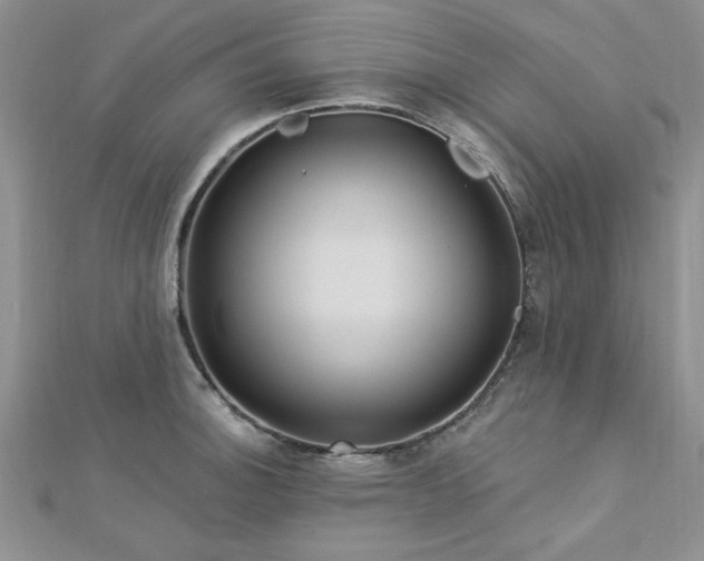 X0000113131140200909041142