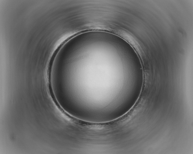X0000113131141200909041142