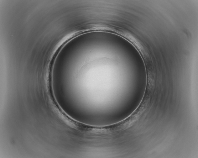 X0000113131142200909041142