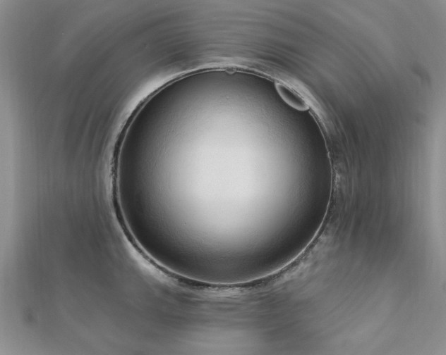 X0000113131143200909041142