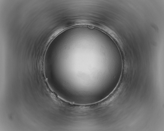 X0000113131145200909041142