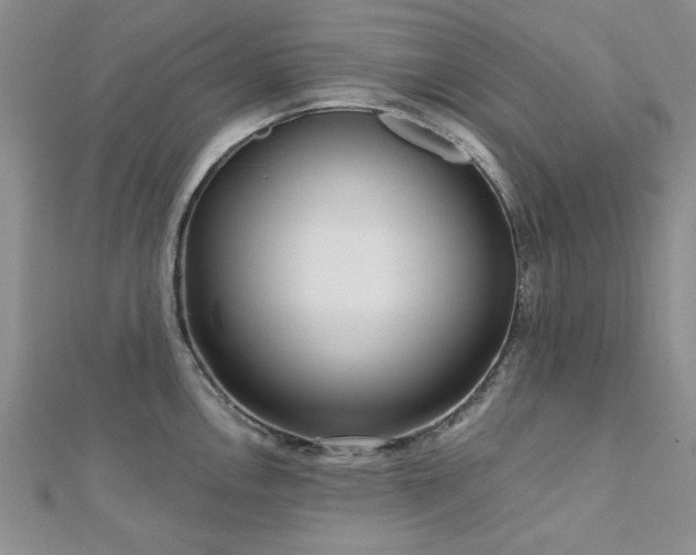 X0000113131146200909041142