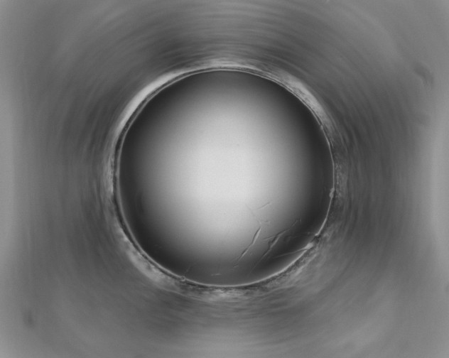 X0000113131148200909041142