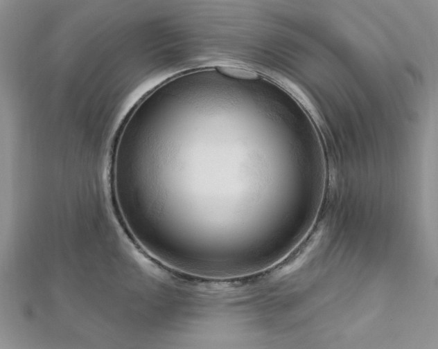 X0000113131149200909041142