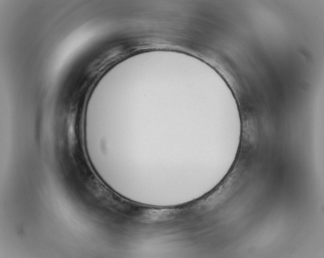 X0000113131150200909041142
