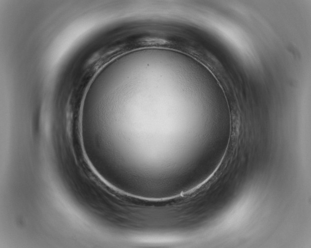 X0000113131151200909041142