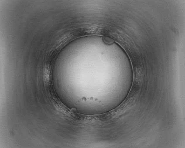 X0000113131154200909041141