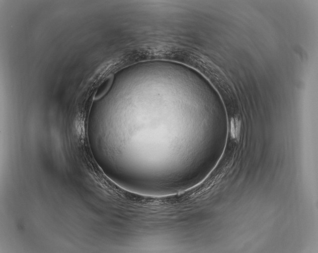 X0000113131155200909041141