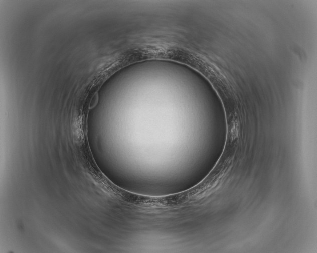 X0000113131156200909041141