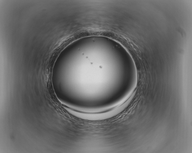 X0000113131157200909041141
