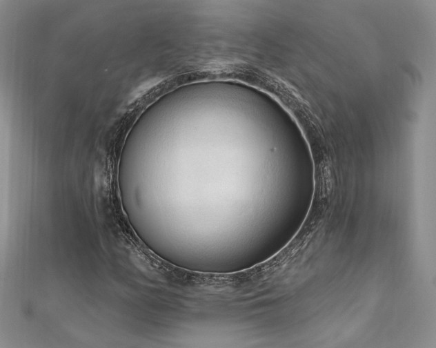 X0000113131158200909041141