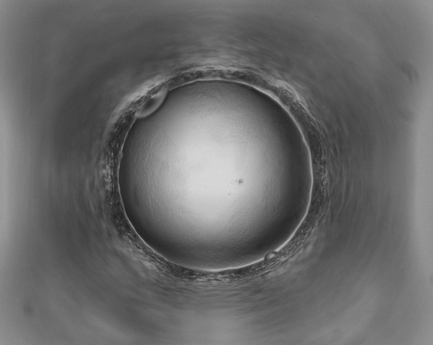 X0000113131159200909041141