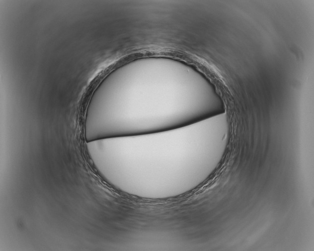 X0000113131160200909041141