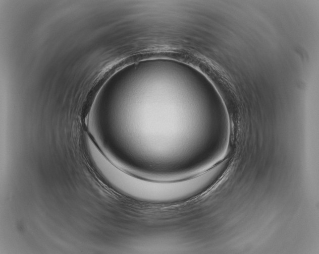 X0000113131161200909041141