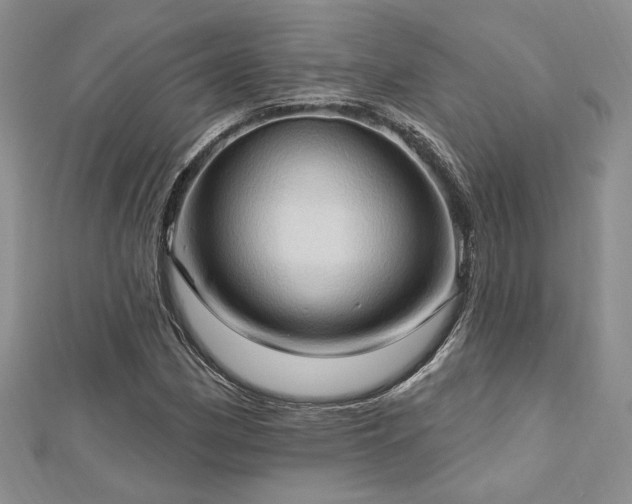 X0000113131162200909041141