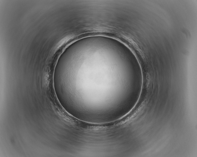 X0000113131163200909041141