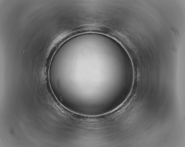 X0000113131164200909041141
