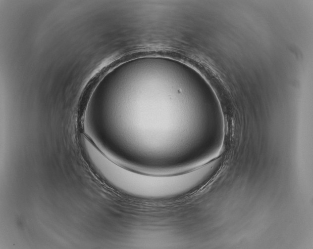 X0000113131165200909041141