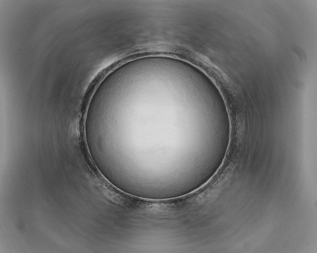X0000113131166200909041141