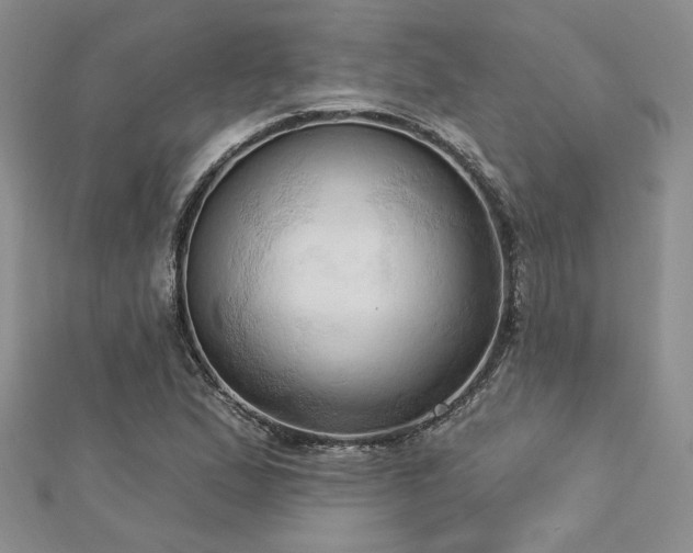 X0000113131167200909041141