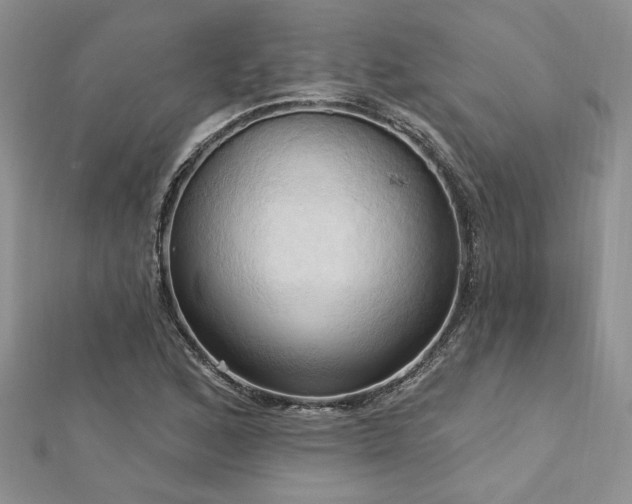 X0000113131168200909041141