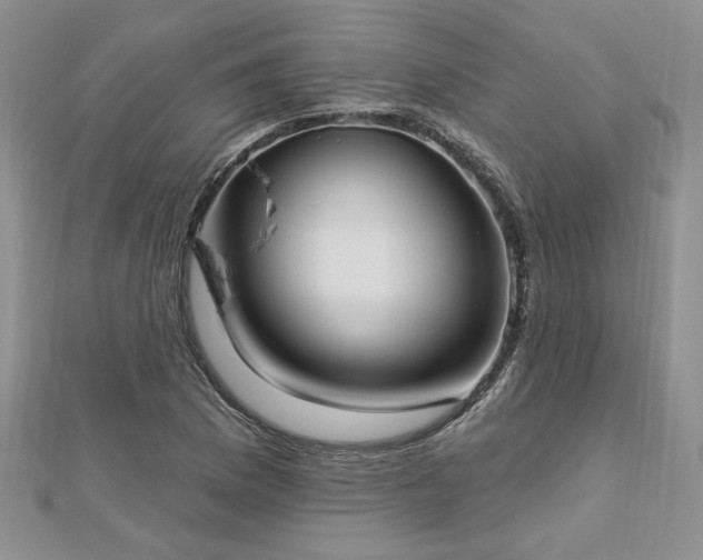 X0000113131169200909041141