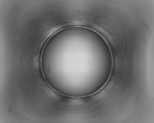 X0000113131170200909041141