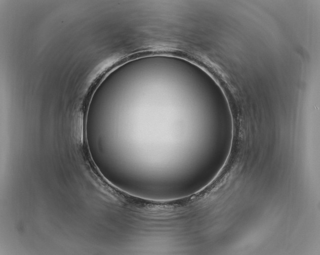 X0000113131171200909041141