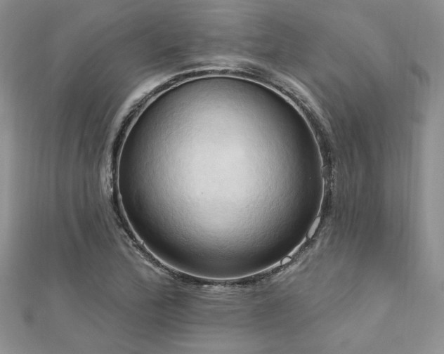 X0000113131172200909041141
