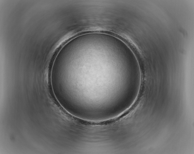 X0000113131173200909041141