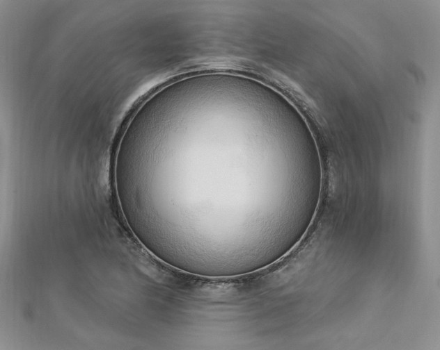 X0000113131174200909041141