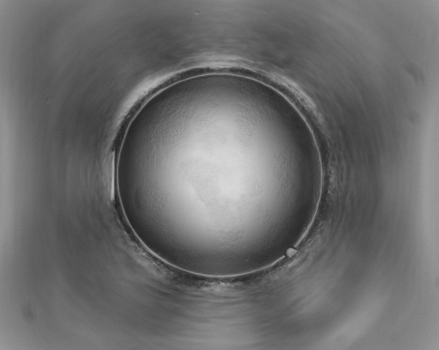 X0000113131175200909041141