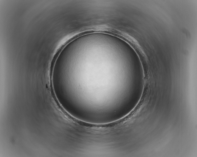 X0000113131176200909041141