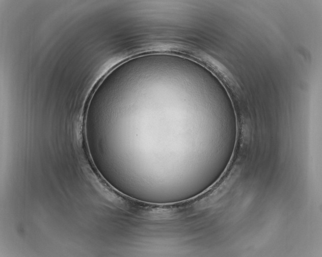 X0000113131178200909041141