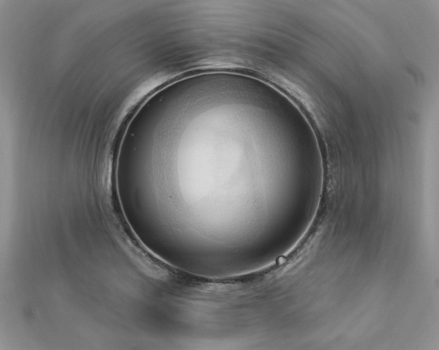 X0000113131179200909041141