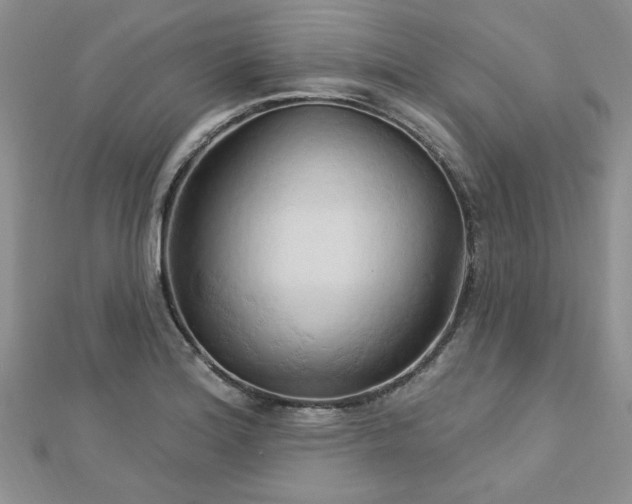 X0000113131180200909041141