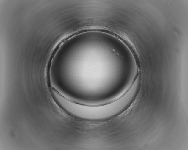 X0000113131181200909041141